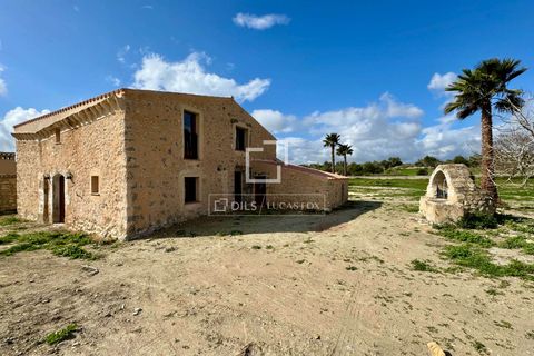 Masia a Llubi, Mallorca, Llubi - € 600.000 | Ref: MAL69715 - foto 32