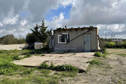 Masia a Llubi, Mallorca, Llubi - € 600.000 | Ref: MAL69715 - foto 35