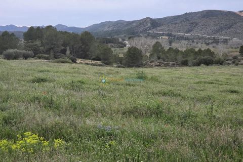 Terra a Beniganim, Valencia, Beniganim - € 170.000 | Ref: PNPT275 - foto 10