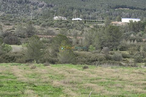 Terra a Beniganim, Valencia, Beniganim - € 170.000 | Ref: PNPT275 - foto 3