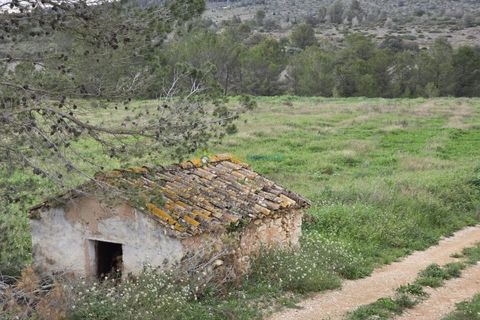 Terra a Beniganim, Valencia, Beniganim - € 170.000 | Ref: PNPT275 - foto 4