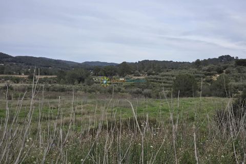 Terra a Beniganim, Valencia, Beniganim - € 170.000 | Ref: PNPT275 - foto 9