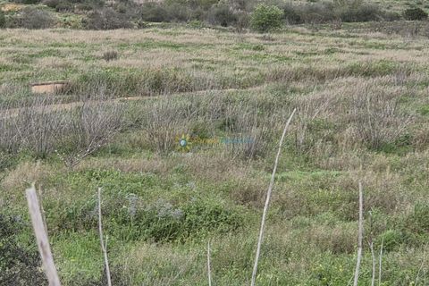 Terra a Beniganim, Valencia, Beniganim - € 170.000 | Ref: PNPT275 - foto 8