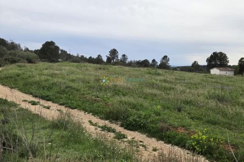 Terra a Beniganim, Valencia, Beniganim - € 170.000 | Ref: PNPT275 - foto 11