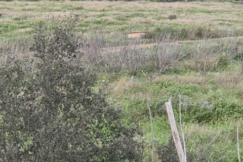 Terra a Beniganim, Valencia, Beniganim - € 170.000 | Ref: PNPT275 - foto 7