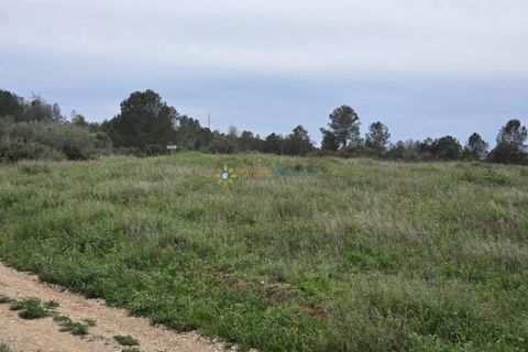 Terra a Beniganim, Valencia, Beniganim - € 170.000 | Ref: PNPT275 - foto 13