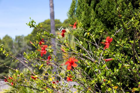 Villa i Javea, Alicante, Javea - € 495.000 | Ref: 1038 - foto 32
