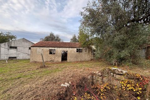 Villa a Nelas, Viseu, Nelas - € 137.000 | Ref: 389250222 - foto 4