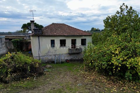 Villa a Nelas, Viseu, Nelas - € 137.000 | Ref: 389250222 - foto 5