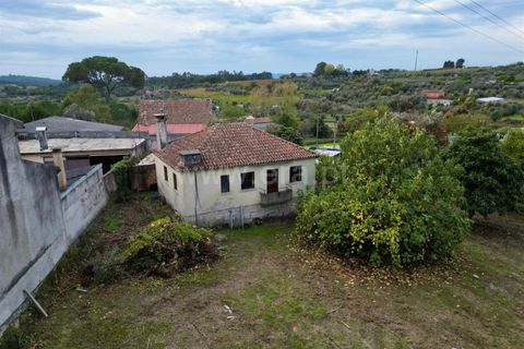 Villa a Nelas, Viseu, Nelas - € 137.000 | Ref: 389250222 - foto 7