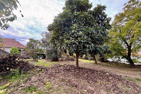 Villa a Nelas, Viseu, Nelas - € 137.000 | Ref: 389250222 - foto 9