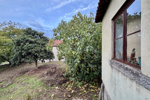 Villa a Nelas, Viseu, Nelas - € 137.000 | Ref: 389250222 - foto 14