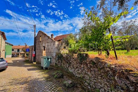 Villa i Mangualde, Viseu, Mangualde - € 49.000 | Ref: 389260086 - foto 3
