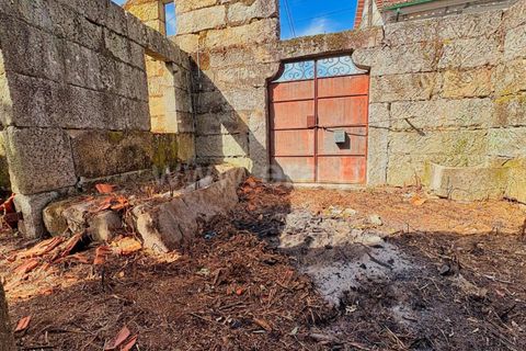 Villa i Mangualde, Viseu, Mangualde - € 49.000 | Ref: 389260086 - foto 14