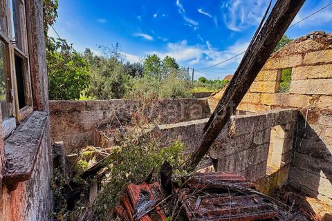 Villa i Mangualde, Viseu, Mangualde - € 49.000 | Ref: 389260086 - foto 21