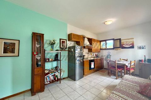 Lejlighed i Rosignano Marittimo, Livorno, Rosignano Marittimo - € 125.000 | Ref: 1859 - foto 15