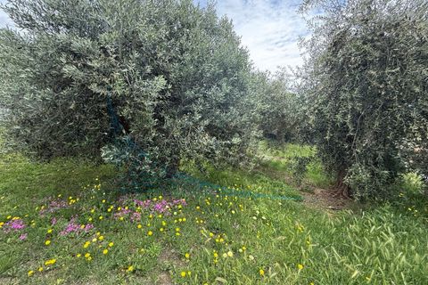 Lejlighed i Rosignano Marittimo, Livorno, Rosignano Marittimo - € 155.000 | Ref: 1860 - foto 1