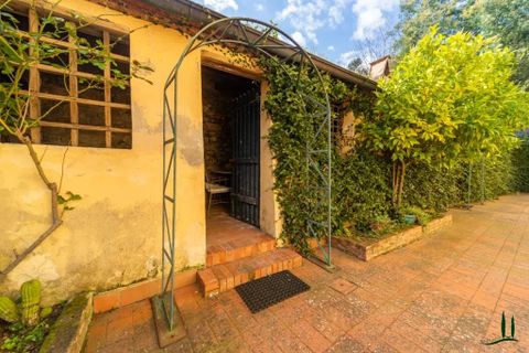 Landejendom i Lucca, Lucca, Lucca - € 2.900.000 | Ref: 87035320 - foto 15