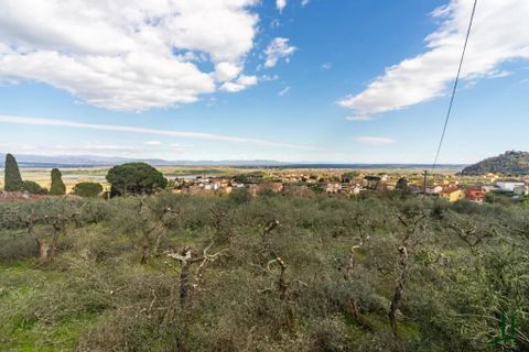 Landejendom i Lucca, Lucca, Lucca - € 2.900.000 | Ref: 87035320 - foto 25