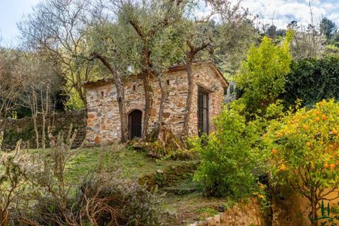 Landejendom i Lucca, Lucca, Lucca - € 2.900.000 | Ref: 87035320 - foto 27