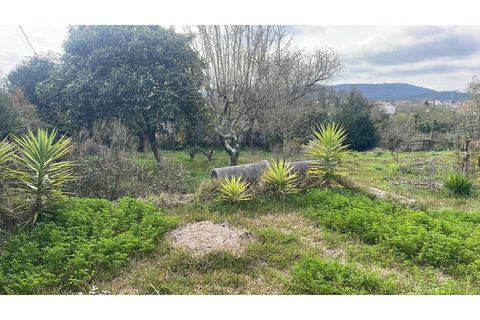 Villa i Viana do Castelo, Viana do Castelo, Viana do Castelo - € 412.000 | Ref: UNU-F3-79-5 - foto 12