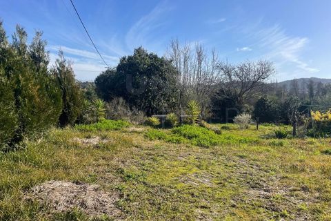 Villa i Viana do Castelo, Viana do Castelo, Viana do Castelo - € 412.000 | Ref: UNU-F3-79-5 - foto 13