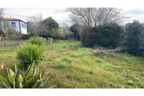 Villa i Viana do Castelo, Viana do Castelo, Viana do Castelo - € 412.000 | Ref: UNU-F3-79-5 - foto 14