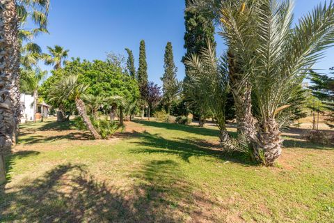 Villa a Nardo, Lecce, Nardo - € 870.000 | Ref: 870cenatevecchie - foto 9