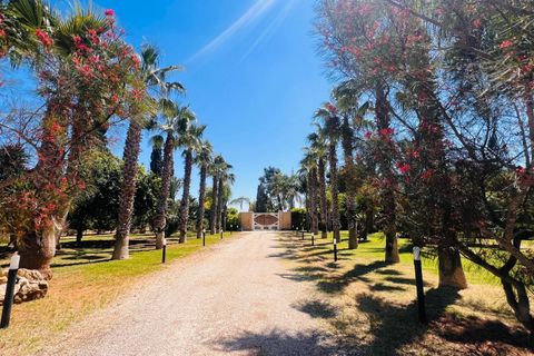 Villa a Nardo, Lecce, Nardo - € 870.000 | Ref: 870cenatevecchie - foto 43