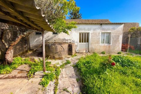 Byhus i Sintra, Lisbon, Sintra - € 550.000 | Ref: KWPT-033052 - foto 36