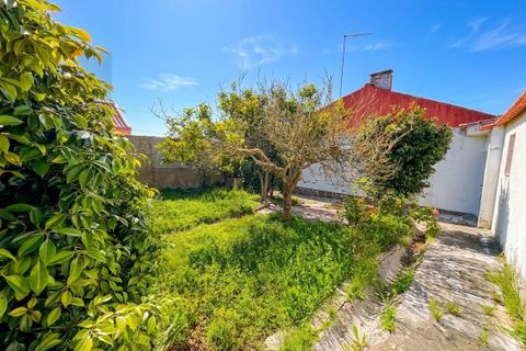 Byhus i Sintra, Lisbon, Sintra - € 550.000 | Ref: KWPT-033052 - foto 38