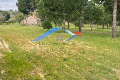 Helårsgrund i Coruche, Santarem, Coruche - € 90.000 | Ref: TerrenoBiscainho - foto 1