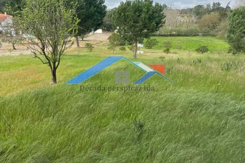 Helårsgrund i Coruche, Santarem, Coruche - € 90.000 | Ref: TerrenoBiscainho - foto 2