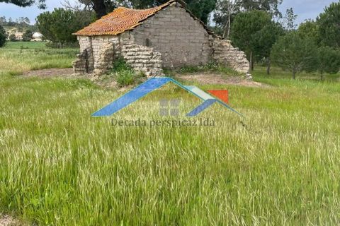 Helårsgrund i Coruche, Santarem, Coruche - € 90.000 | Ref: TerrenoBiscainho - foto 3