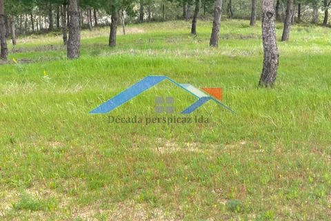 Helårsgrund i Coruche, Santarem, Coruche - € 90.000 | Ref: TerrenoBiscainho - foto 4