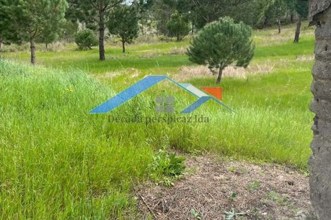 Helårsgrund i Coruche, Santarem, Coruche - € 90.000 | Ref: TerrenoBiscainho - foto 5