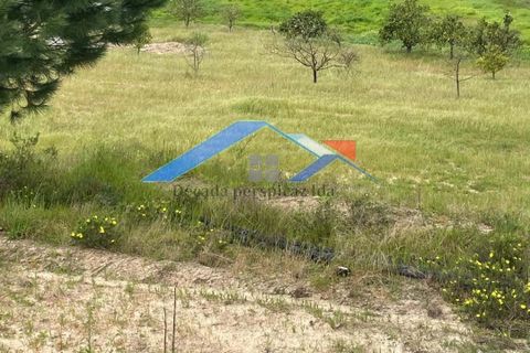 Helårsgrund i Coruche, Santarem, Coruche - € 90.000 | Ref: TerrenoBiscainho - foto 6