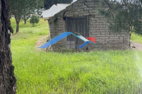 Helårsgrund i Coruche, Santarem, Coruche - € 90.000 | Ref: TerrenoBiscainho - foto 8