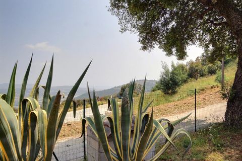 Villa i Tanneron, Var, Tanneron - € 927.000 | Ref: 86753625 - foto 29