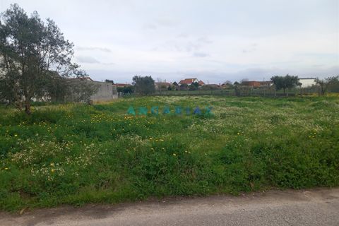 Helårsgrund i Pombal, Leiria, Pombal - € 95.000 | Ref: ANG1601 - foto 2