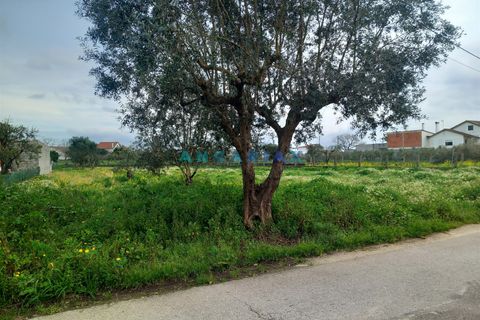 Helårsgrund i Pombal, Leiria, Pombal - € 95.000 | Ref: ANG1601 - foto 5