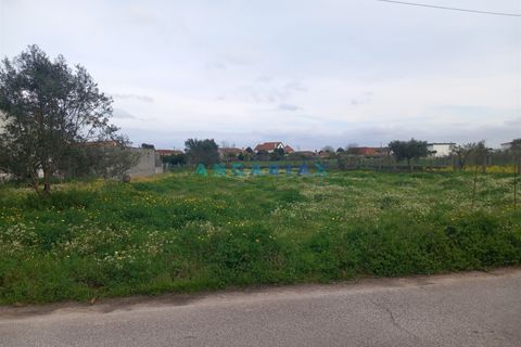 Helårsgrund i Pombal, Leiria, Pombal - € 95.000 | Ref: ANG1601 - foto 6