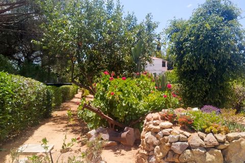 Villa i Almancil, Faro, Almancil - € 620.000 | Ref: 2812 - foto 11
