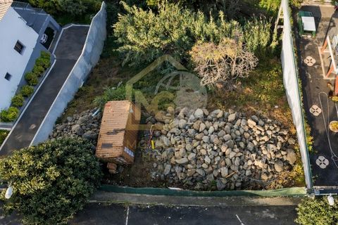 Helårsgrund i Sao Roque, Madeira, Sao Roque - € 360.000 | Ref: TER_54 - foto 1