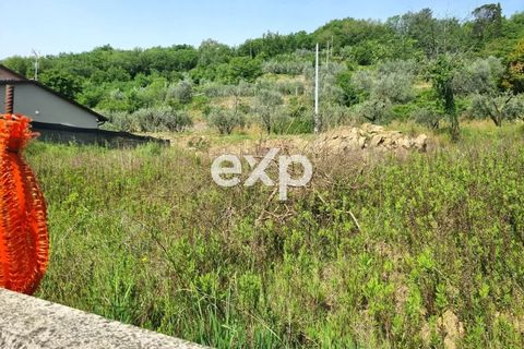 Terra a Capolona, Arezzo, Capolona - € 159.000 | Ref: exp-012085 - foto 2