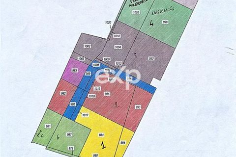 Terra a Capolona, Arezzo, Capolona - € 159.000 | Ref: exp-012085 - foto 4