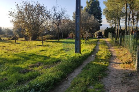 Helårsgrund i Viseu, Viseu, Viseu - € 165.000 | Ref: 1915/V - foto 2