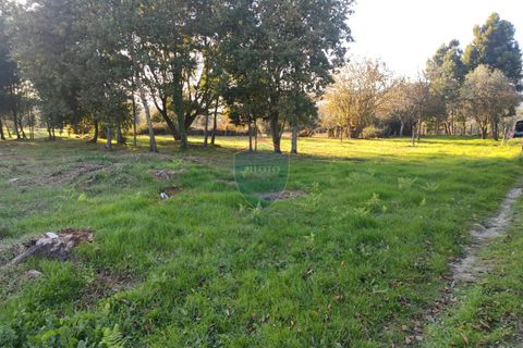 Helårsgrund i Viseu, Viseu, Viseu - € 165.000 | Ref: 1915/V - foto 4