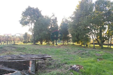 Helårsgrund i Viseu, Viseu, Viseu - € 165.000 | Ref: 1915/V - foto 5