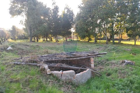 Helårsgrund i Viseu, Viseu, Viseu - € 165.000 | Ref: 1915/V - foto 6